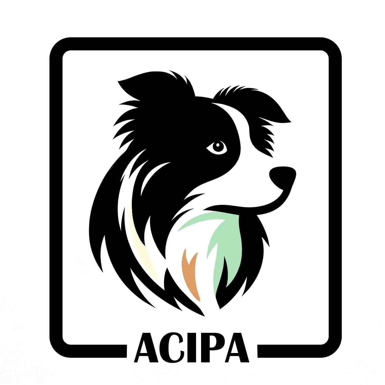 Association ACIPA